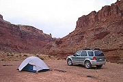 CLICK FOR OTHER TRIPS