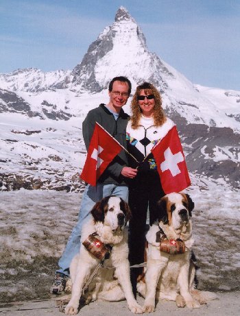 Switzerland Dogs