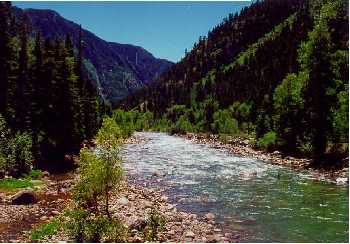 Animas at Needleton